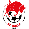 普里什蒂娜FC